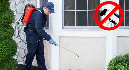 Pülümür Karınca İlaçlama böcek ilaçlama ve haşere kontrolü — ilaclama-tr.com
